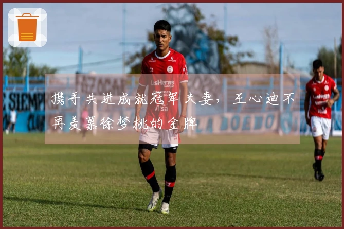 携手共进成就冠军夫妻，王心迪不再羡慕徐梦桃的金牌