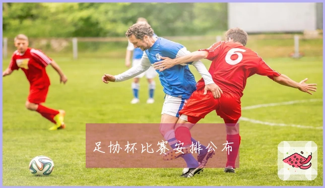 足协杯比赛安排公布